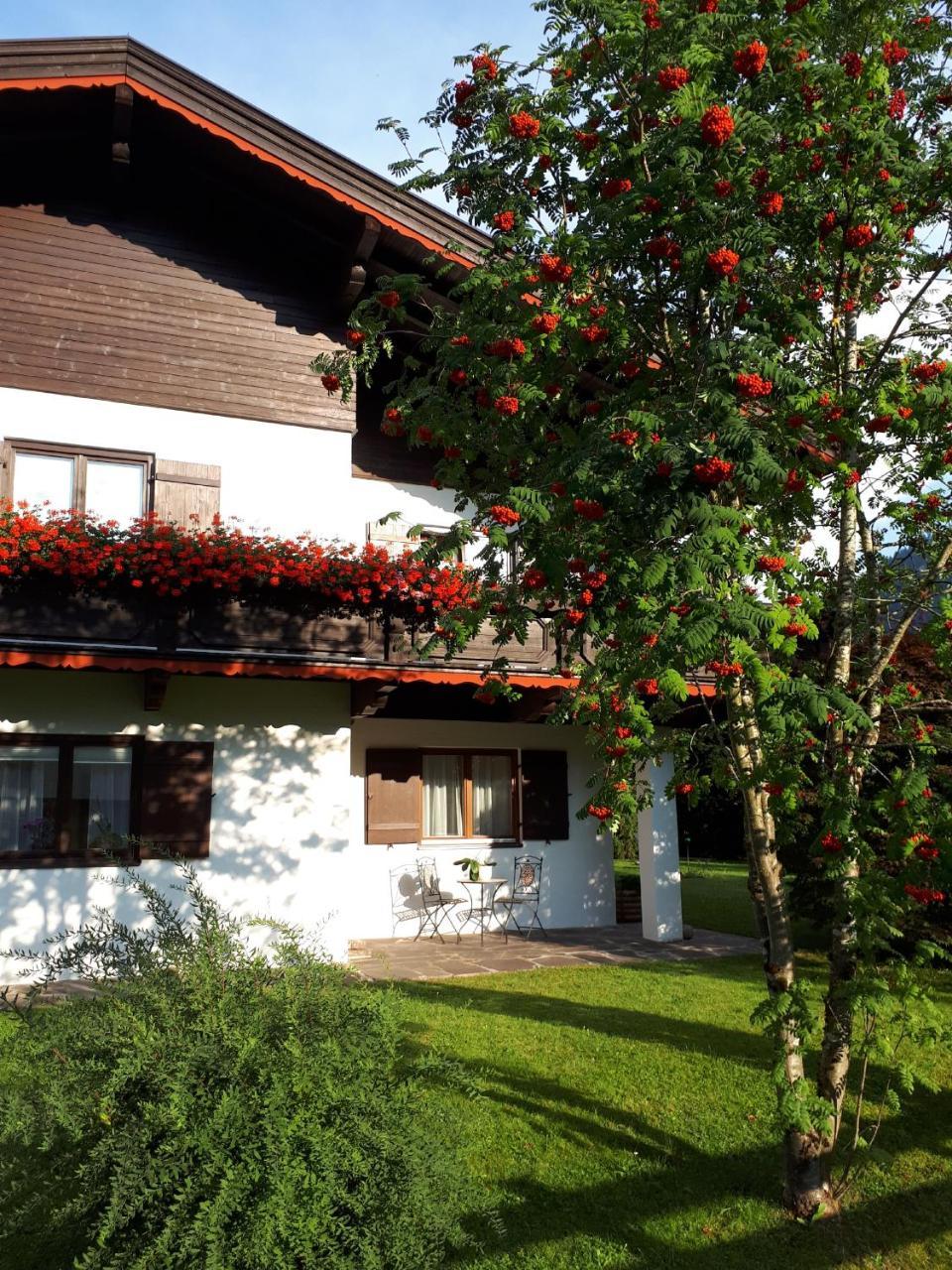 Haus Slechta Lejlighed Kitzbühel Eksteriør billede